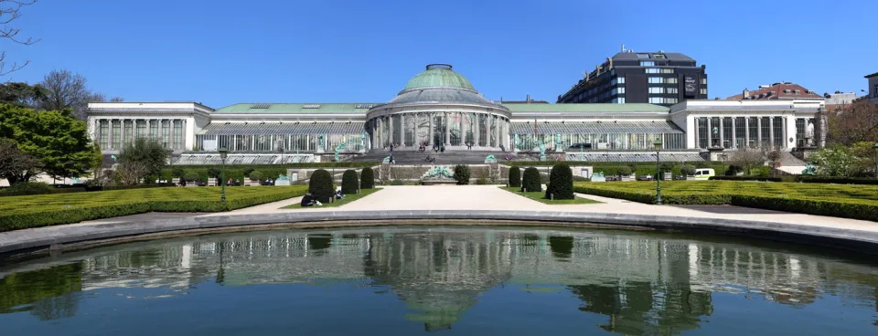 Botanical Garden of Brussels, Orangery, great basin