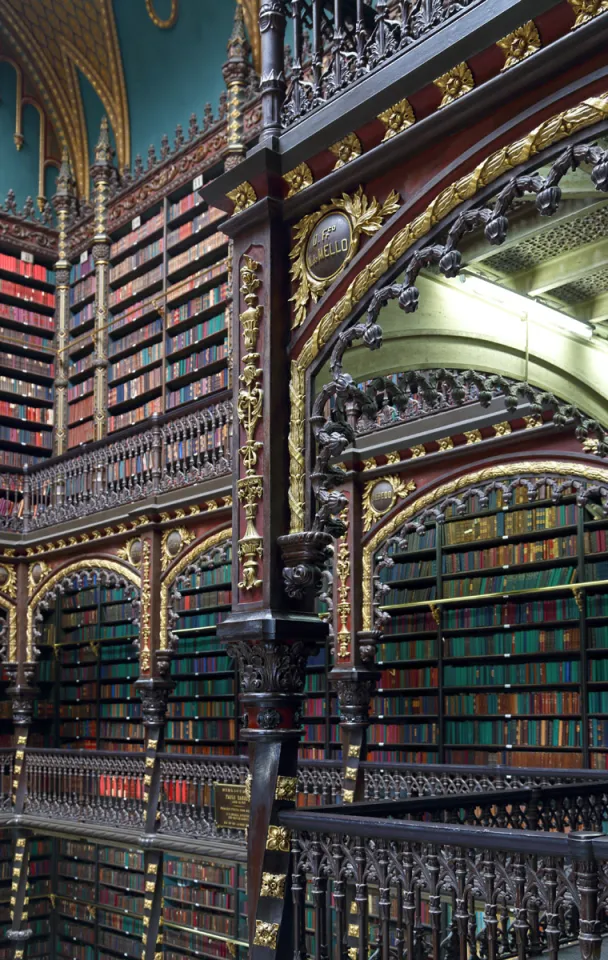 Royal Portuguese Cabinet of Reading, detail