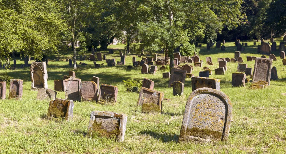 Jewish Cemetery “Holy Sand”, tombstones Jewish Cemetery “Holy Sand”, tombstones