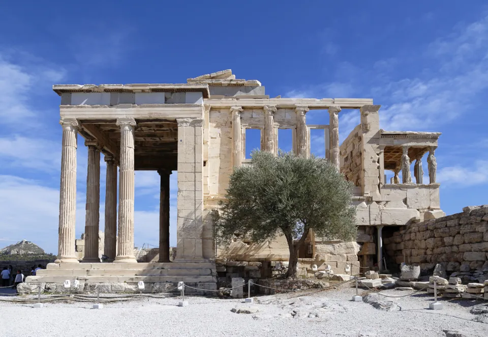 Acropolis, Erechtheion, west elevation with sacred olive tree