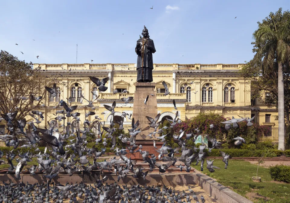 Delhi Town Hall, pigeons take flight in front of the statue of Samy Shradhanand