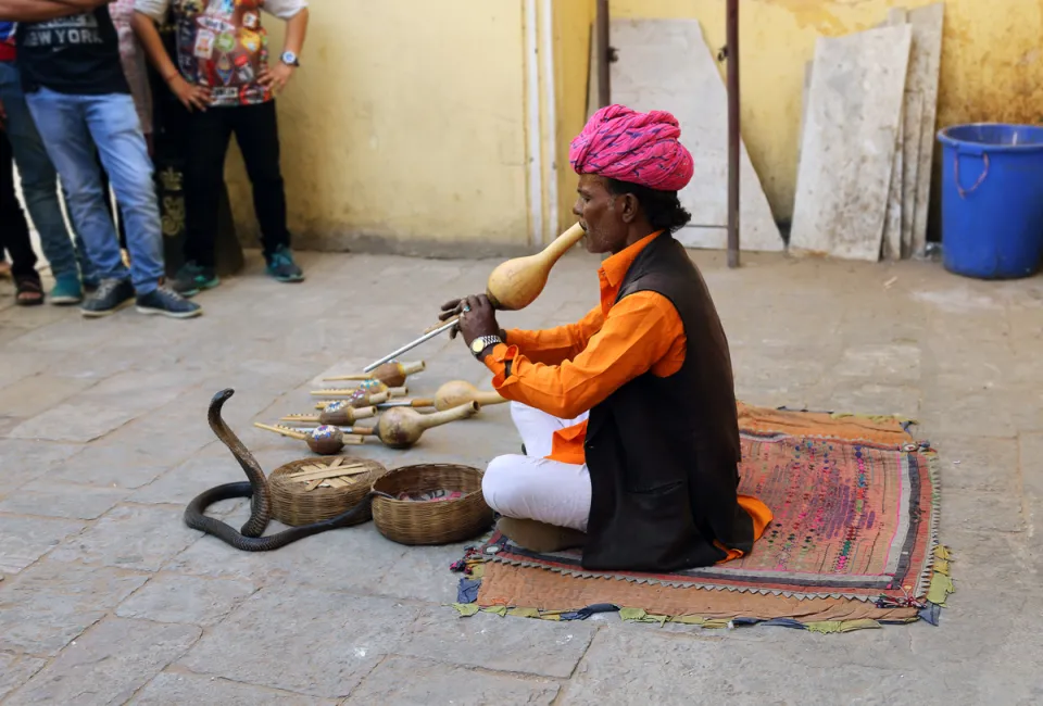 Snake charmer at the City Palace