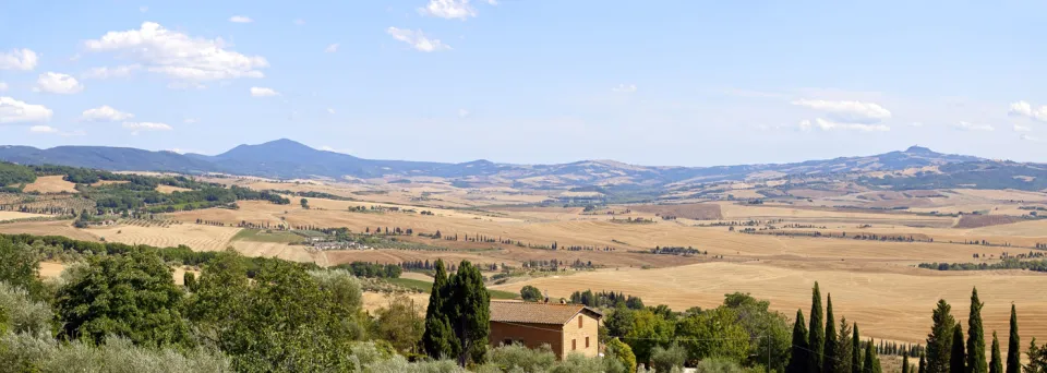 Val d'Orcia, near Pienza