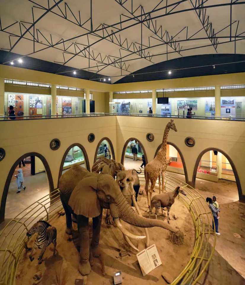 Nairobi National Museum, Great Hall of Mammals