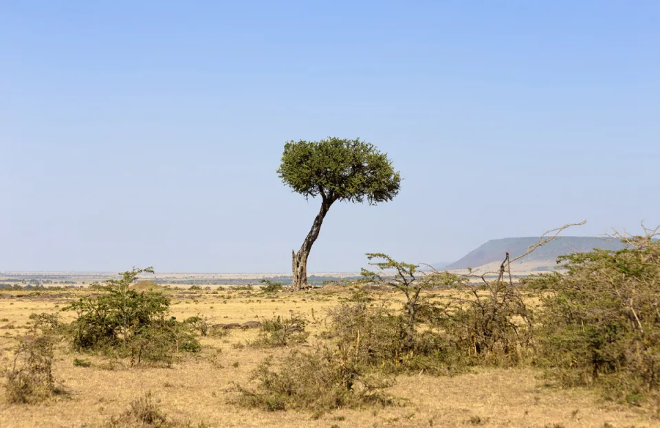 Mara North Conservancy landscape