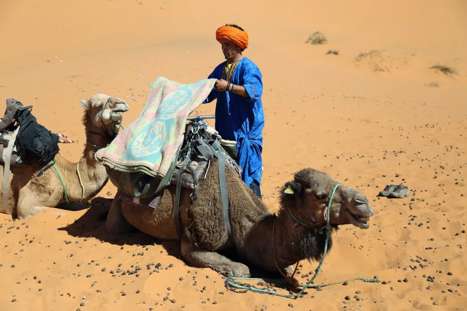 Camel Trekking Guide, Erg Chebbi