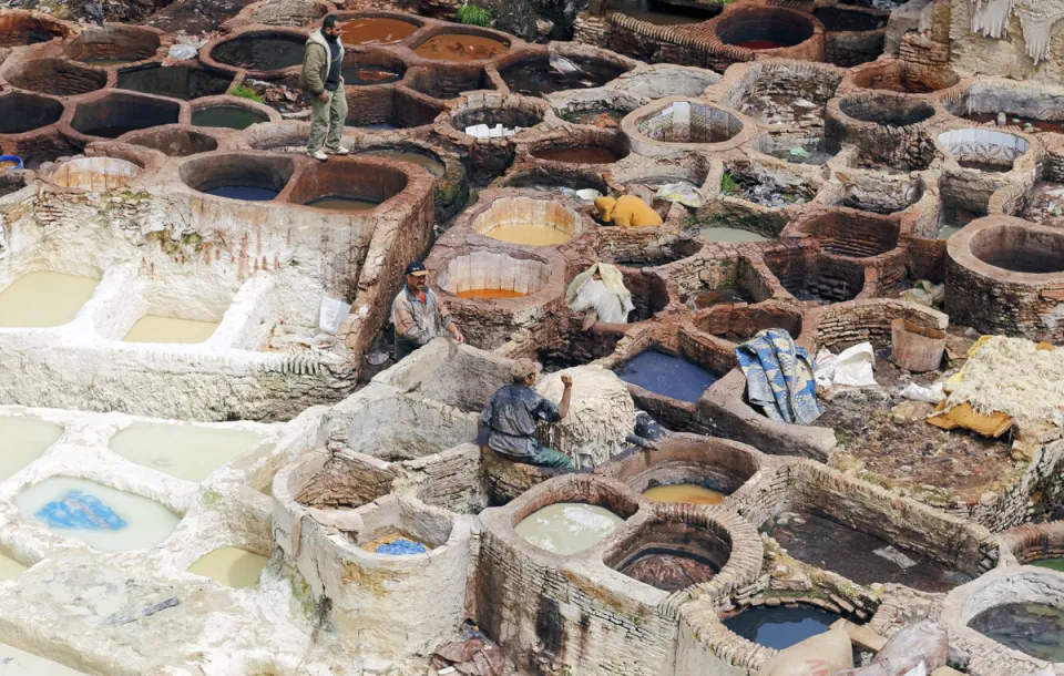 Sidi Moussa Tannery, tanning vats