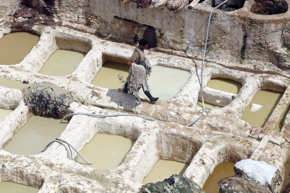 Sidi Moussa Tannery, tanning vats