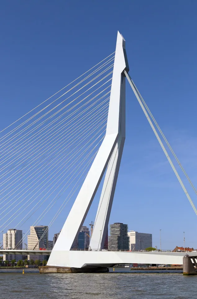 Erasmus Bridge, pylon