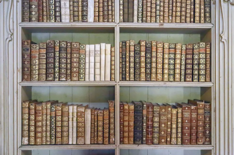 Royal Building of Mafra, Library, bookshelf