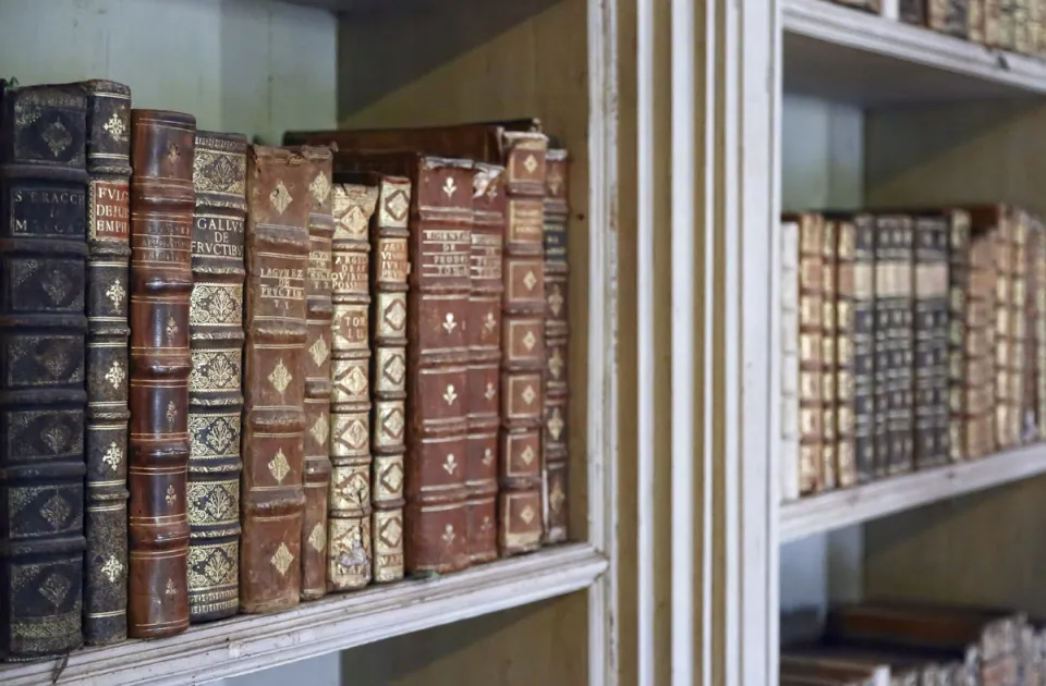 Royal Building of Mafra, Library, bookshelf