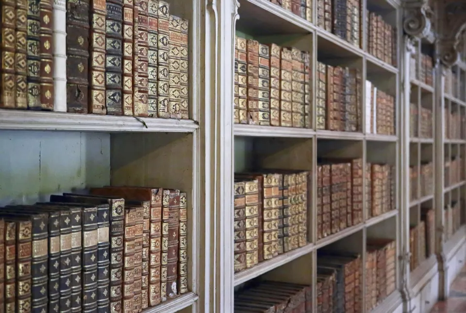 Royal Building of Mafra, Library, bookshelves