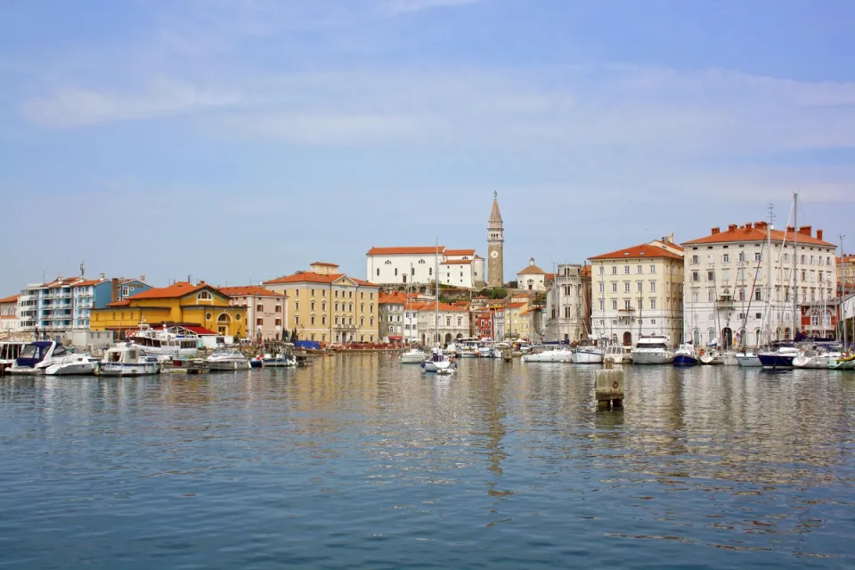View from the harbour to Piran