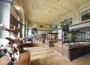 Natural History Museum, exhibition room earth history