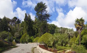 National Palace of Pena, park