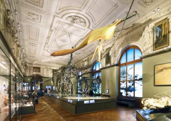 Natural History Museum, exhibition room dinosaurs
