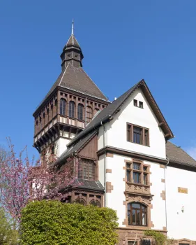 Sonneck Mansion, southwest elevation