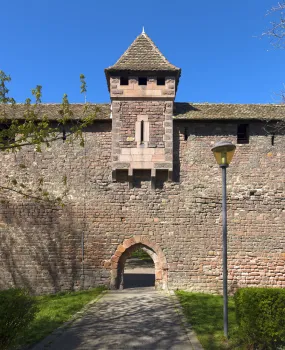 Worms City Fortification, Fisherman's Gate (east elevation)