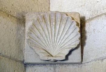 Mausoleum of Theodoric, relief of a shell inside the main crypt niche