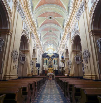 Church of St Michael the Archangel and St Stanislaus Bishop and Martyr (Skałka), nave