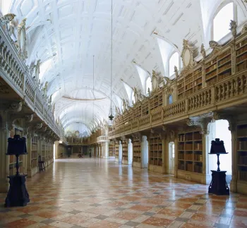 Royal Building of Mafra, Library