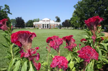 Monticello, gardens