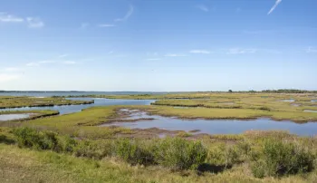 Assateague Island, marshes